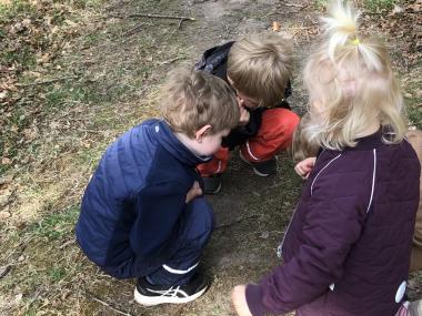 Børnehuset Ringvejen undersøger insekter